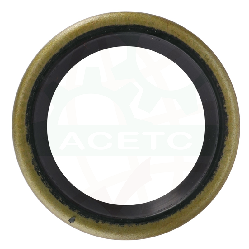 Oil Seal, Input Shaft