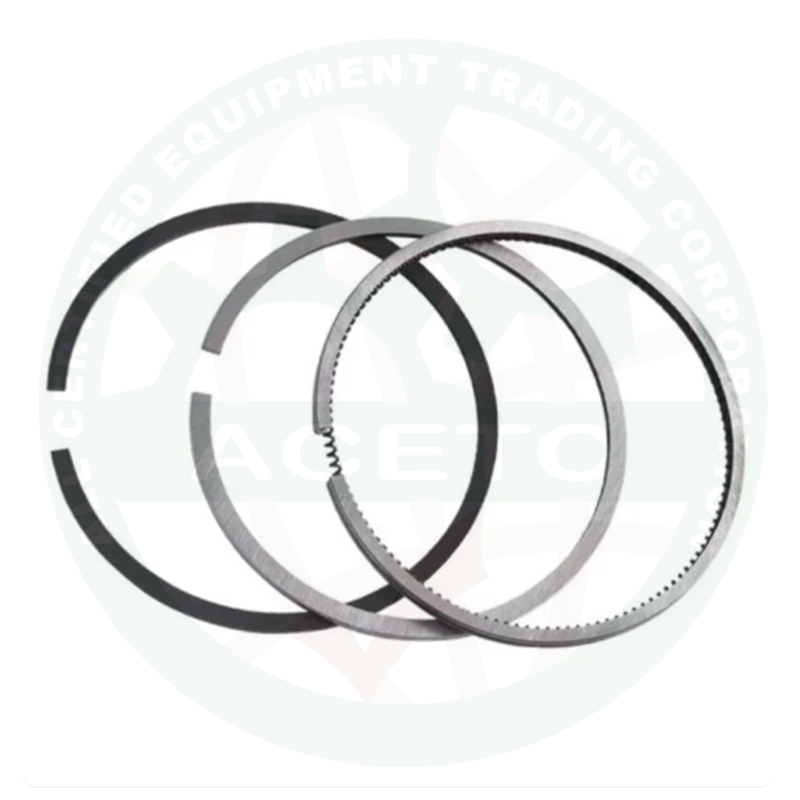 Piston Ring Assembly 10HP
