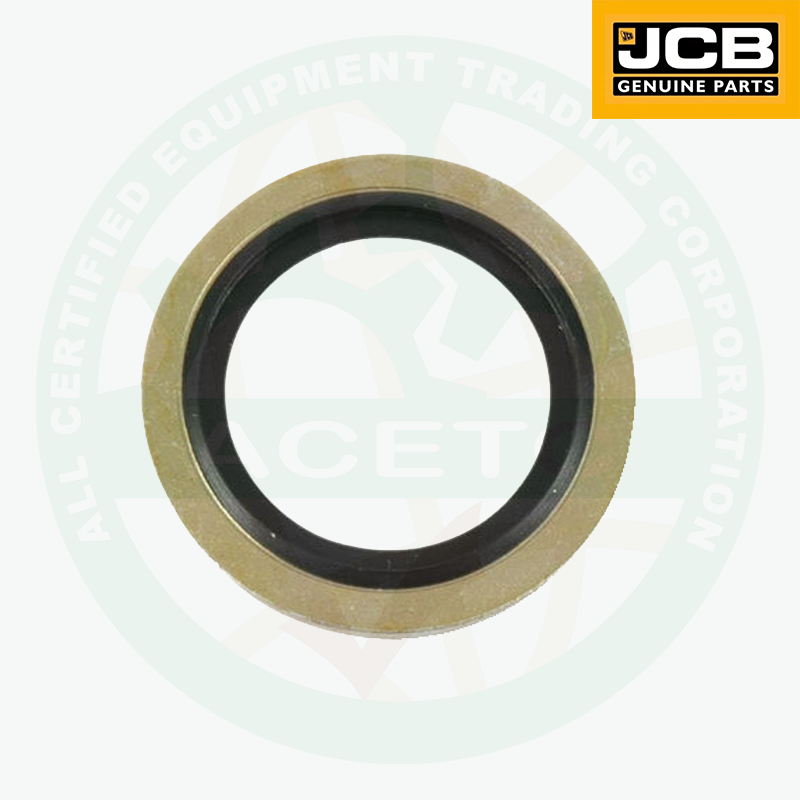 Washer bonded 1"BSP