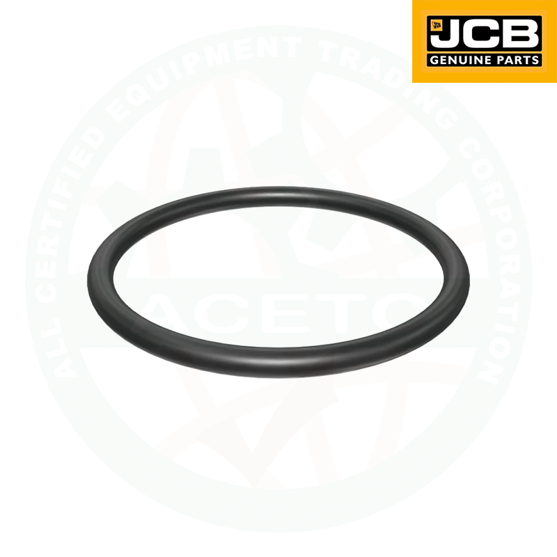 O-Ring