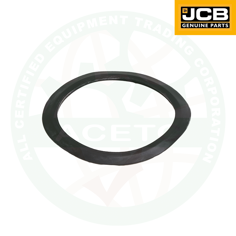 Dust Seal